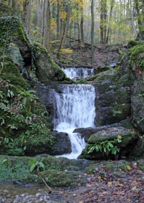 Laissez-Vous Enchanter Par La Vallee De La Meuse Hastiere-par-dela Exterior foto